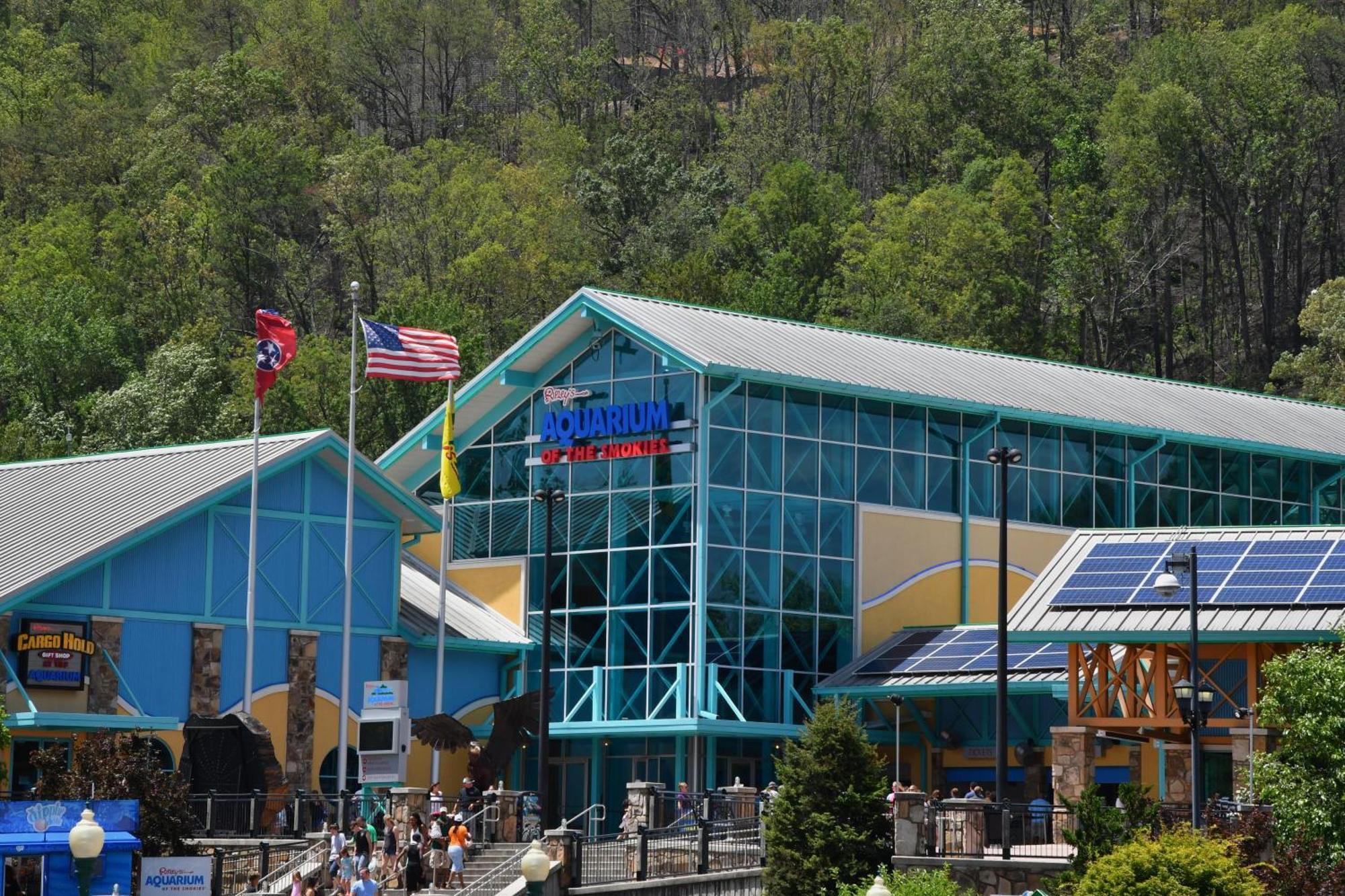 Wild Thing #1525 Villa Gatlinburg Exterior foto